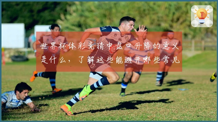 世界杯体彩竞猜中盘口升降的意义是什么，了解这些能避开哪些常见坑？
