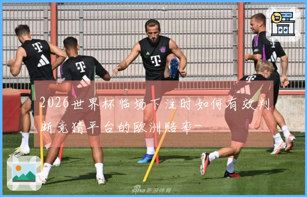 2026世界杯临场下注时如何有效判断竞猜平台的欧洲赔率-
