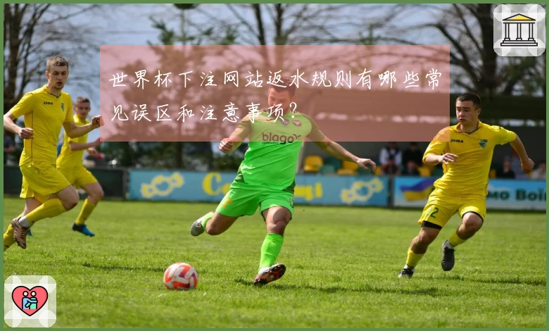 世界杯下注网站返水规则有哪些常见误区和注意事项？