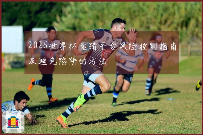 2026世界杯竞猜平台风险控制指南及避免陷阱的方法
